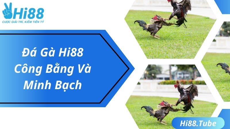 Công bằng trong ván cược